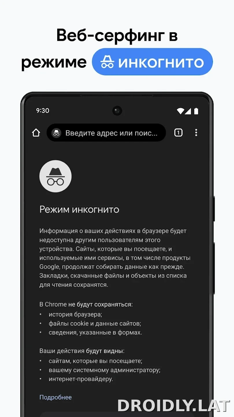 Google Chrome скриншот 3